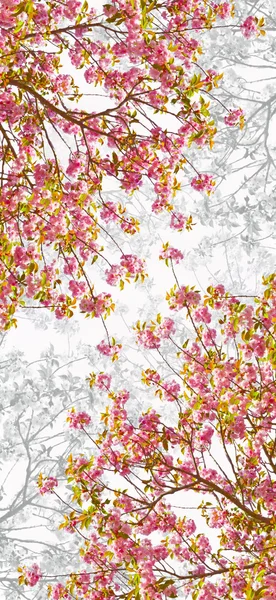 꽃이 만발한 벚꽃 장식 — 스톡 사진