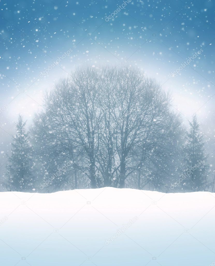 Winter background with trees, snow and snaw falling