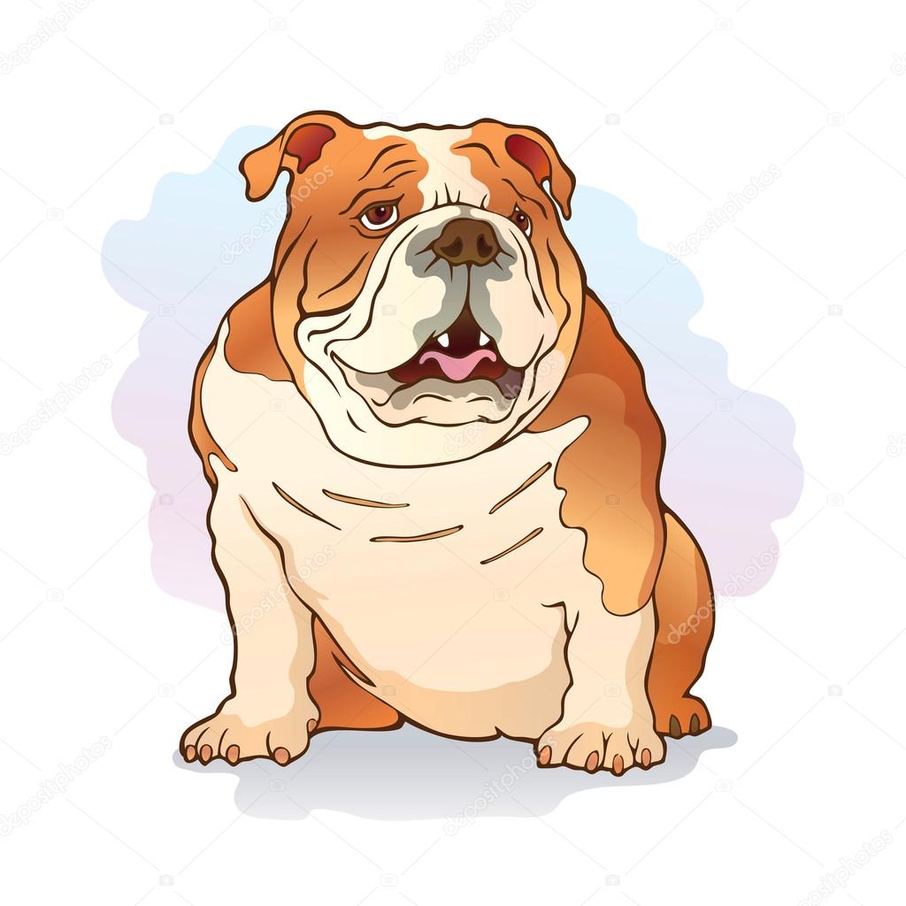 Illustration of english bulldog
