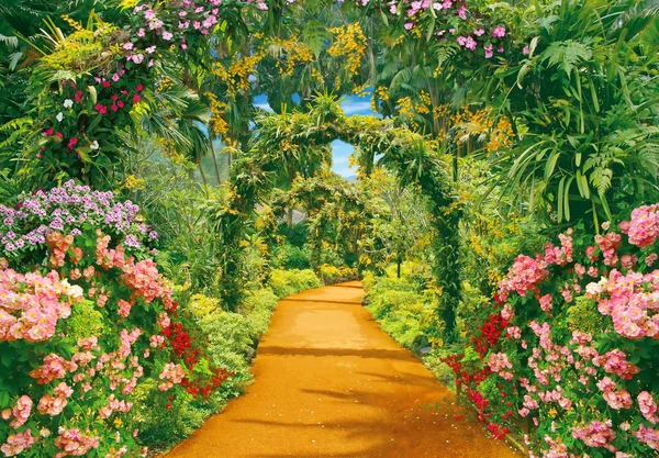 Flower alley and liana arches — Stock Photo, Image