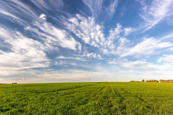 Panorama Van Een Landelijk Landschap Het Voorjaar Met Groene Korenvelden — Stockfoto