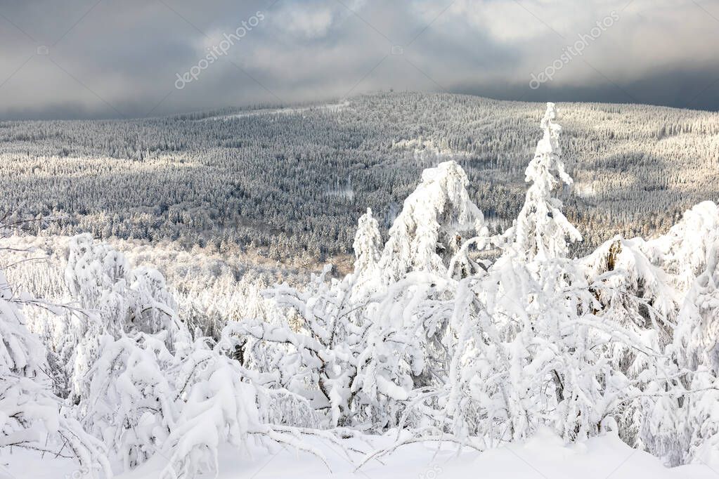 View of the Feldberg mountain in winter from the Altkoenig plateau, Taunus, Hesse, Germany