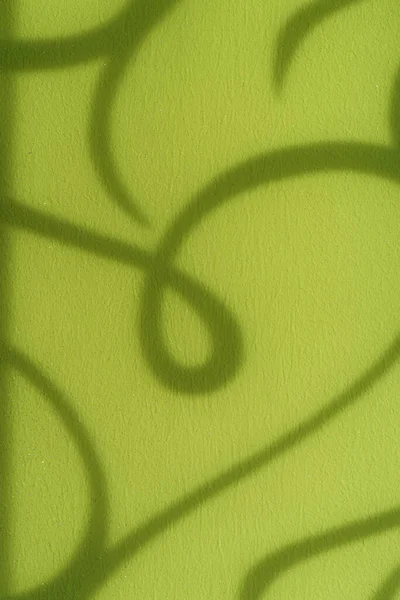 Fond Motif Ombre Sur Mur Vert — Photo