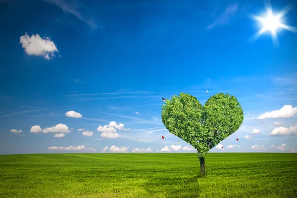 Love tree — Stock Photo, Image