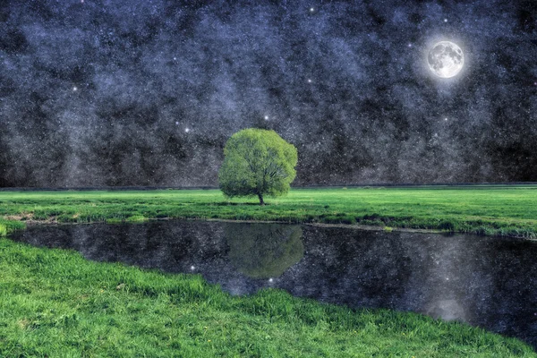 gece manzarası