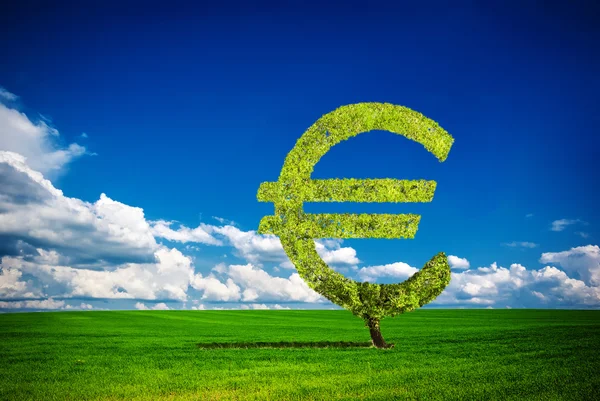 Árbol euro —  Fotos de Stock