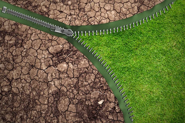 Green grass and drought — Stock Photo, Image