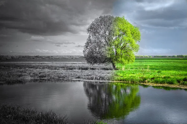 L'oscurità sta arrivando — Foto Stock