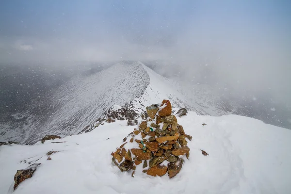 Sırt Borus, Batı Sayan