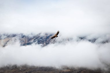 Kuzey Osetya-Alanya Cumhuriyetinde Digora Vadisi