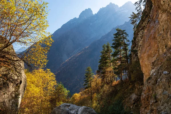 Kafkas dağ manzarası. Tsey vadisi. Kuzey Osetya-Alanya Cumhuriyeti, Rusya