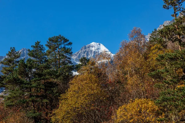 Kafkas dağ manzarası. Tsey vadisi. Kuzey Osetya-Alanya Cumhuriyeti, Rusya