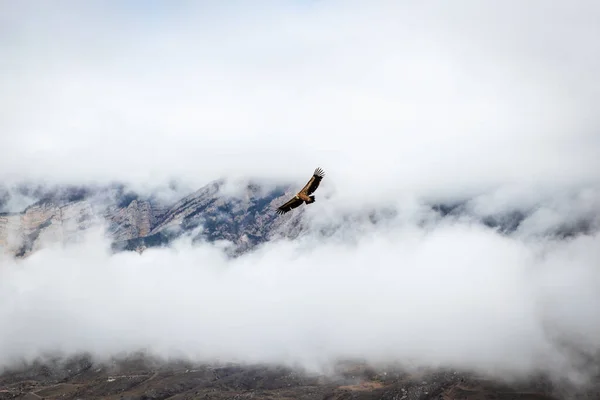 Kuzey Osetya-Alanya Cumhuriyetinde Digora Vadisi