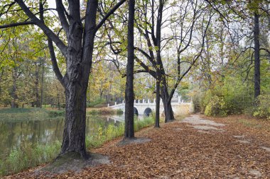 Communist Skyscraper