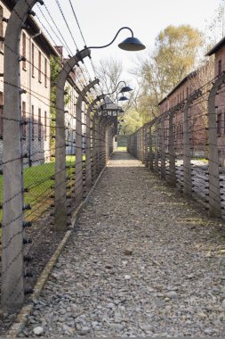 Auschwitz