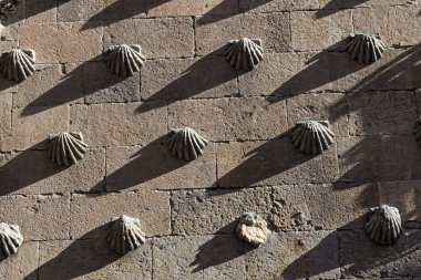 Salamanca Casa de las Conchas