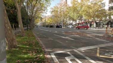 Valladolid, İspanya - 26 Kasım 2025: Paseo de Zorrilla güneşli bir sonbahar sabahı