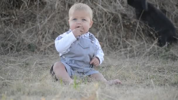 Leuk mooi lachen tiener meisje op gras met witte en zwarte baby konijn — Stockvideo