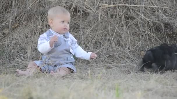 Mignon belle rire adolescent fille sur herbe avec blanc et noir bébé lapin — Video