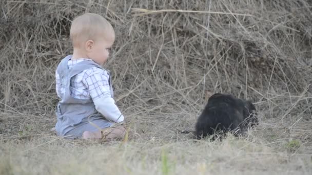 Aranyos szép nevető tini lány, a fű, fehér és fekete baby nyúl — Stock videók