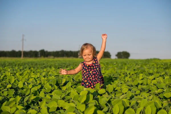 Een mooi meisje in een groene Beierse jurk met. Kinderen in het land. Prachtige flora — Stockfoto