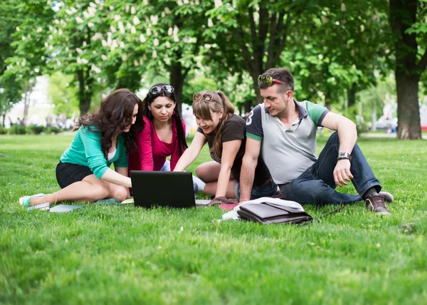 Grupp unga Collegestudenter sitter på gräset — Stockfoto