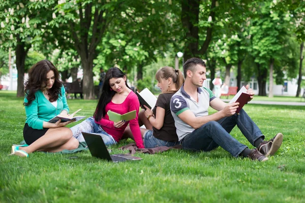 Students having lesson outdoor — Stock Photo, Image