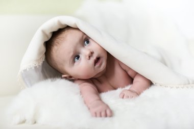 clambers beyaz yüzey üzerinde sekiz ay bebek