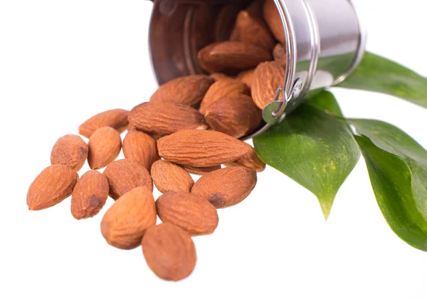 Tin bucket full of almonds,  isolated on white background — Stock Photo, Image