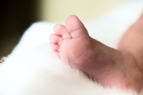 Pieds bébé isolés — Photo