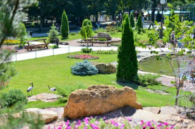 Yeşil çimenlerin üzerinde bir golf alanı