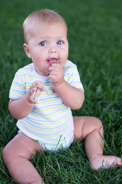 Summer portrait of beautiful baby girl sitting in grass — Stock Photo, Image
