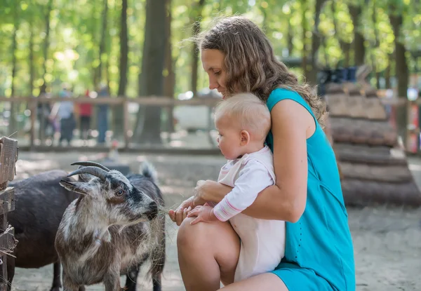 Mãe feliz e sua filha com cabras bebê no campo — Fotografia de Stock