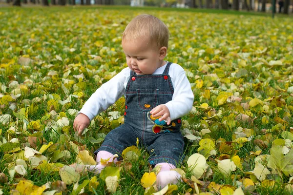 Hermosa niña de pie en un parque en otoño —  Fotos de Stock