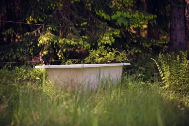 Ormanın içinde banyo küveti