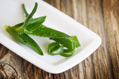 Aloe bitkisinin yeşil yaprakları