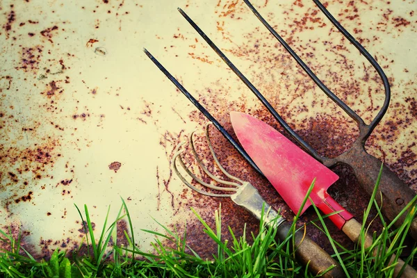 Vintage Gardening tools — Stock Photo, Image