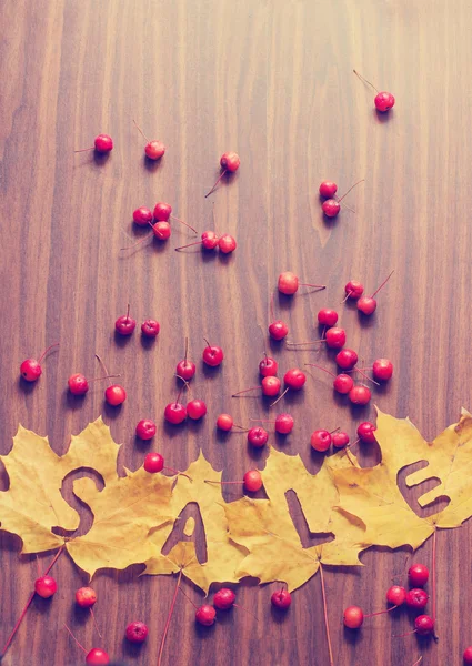Leaves with word "Sale" — Stock Photo, Image