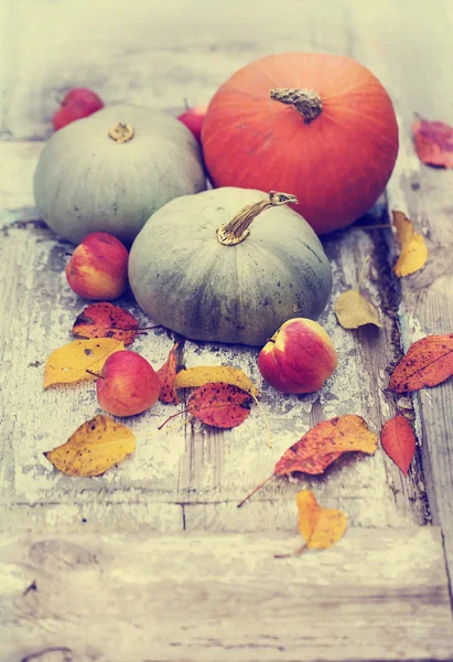 Zucche d'autunno su tavolo rustico in legno — Foto Stock