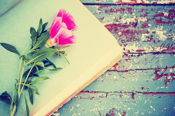 Bellissimi fiori e libro — Foto Stock