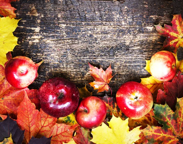 Äpfel und fallendes Laub — Stockfoto