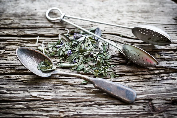 Tisane aux fleurs sauvages — Photo