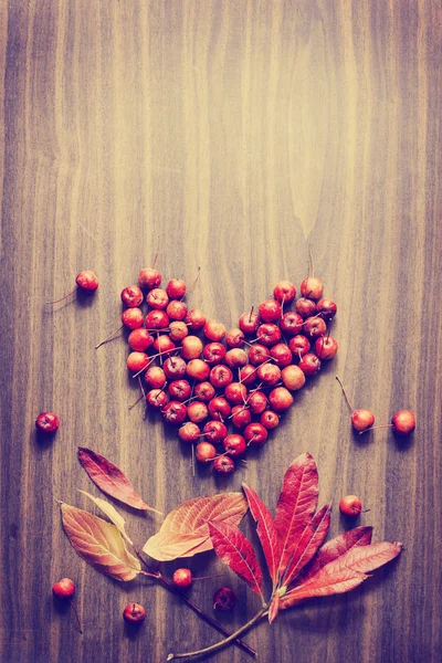 Leaves and berries as a heart — Stock Photo, Image