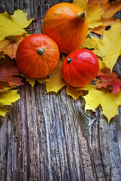 Pumpkins and autumn leaves — Stock Photo, Image