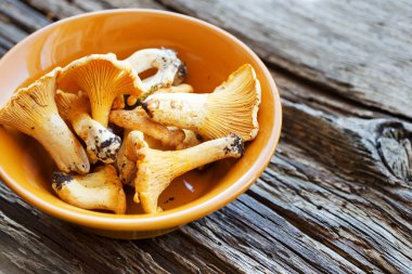 Chanterelles