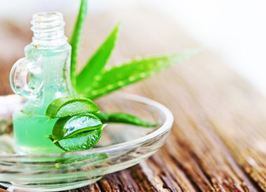 Aloe bitkisinin yeşil yaprakları
