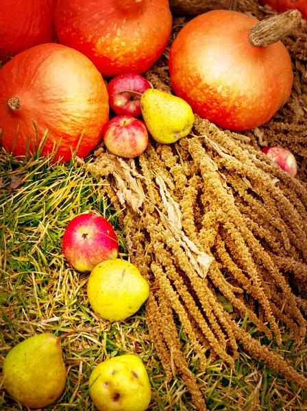 Pumpkins and apples on grass — Stock Photo, Image