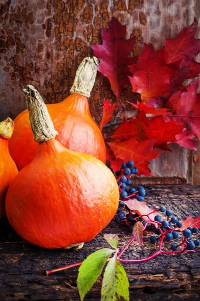 Pumpkins and berries on wooden background — Stock Photo, Image