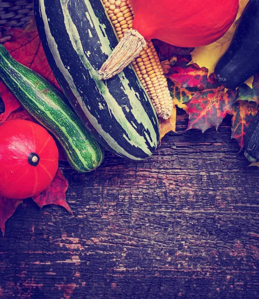Fruits et légumes de saison — Photo