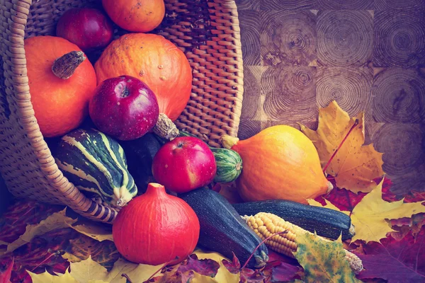 Frutas e produtos hortícolas sazonais — Fotografia de Stock